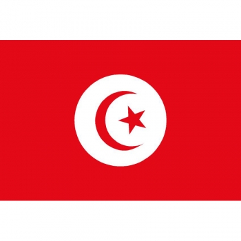 Drapeau tunisien