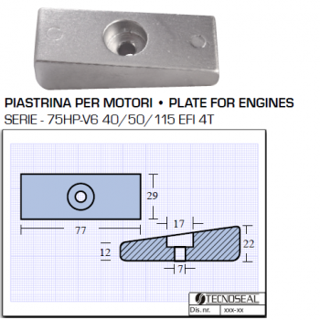 Plaque pour moteurs 75HP V6 40 40115 EFI 4T