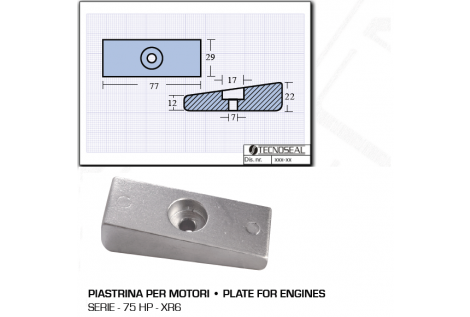 Plaque pour moteurs 75 HP XR6